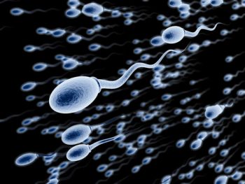 Cách nhận biết tinh trùng nhiều hay ít và lời khuyên từ Lão Tuấn