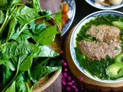 Ăn rau mồng tơi có tốt cho tinh trùng không? Lời khuyên từ Lão Tuấn