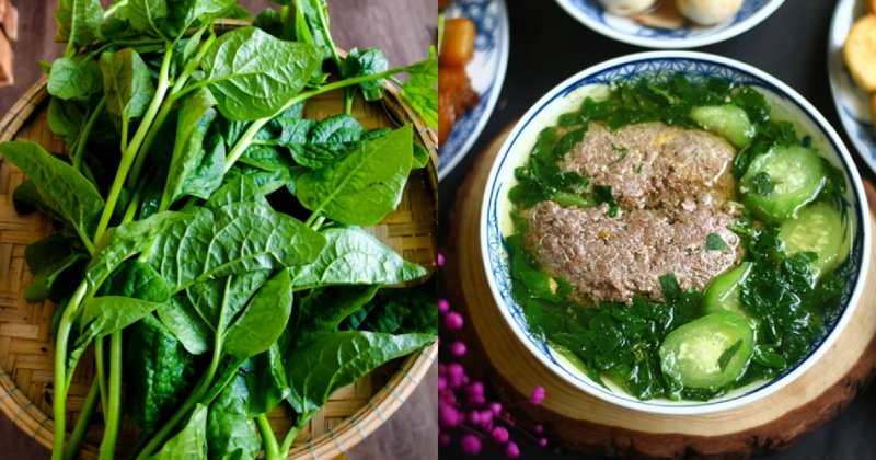 Ăn rau mồng tơi có tốt cho tinh trùng không? Lời khuyên từ Lão Tuấn