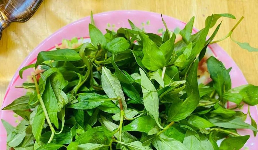 Thực hư rau răm làm yếu sinh lý và lời khuyên từ Lão Tuấn