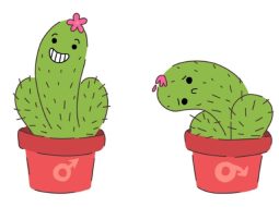 Rối loạn phản xạ xuất tinh: Cách lấy lại bản lĩnh bền bỉ cho Anh Em