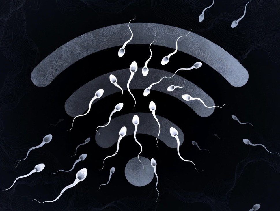 Sóng wifi làm giảm tinh trùng? Lời cảnh báo từ Lão Tuấn