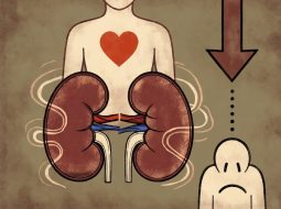 Thận hư gây giảm ham muốn: Bí quyết bồi bổ giúp Anh Em lấy lại phong độ