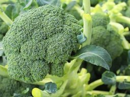 Thận yếu nên ăn rau gì? 5 loại rau "vàng" bồi bổ tinh khí cực tốt