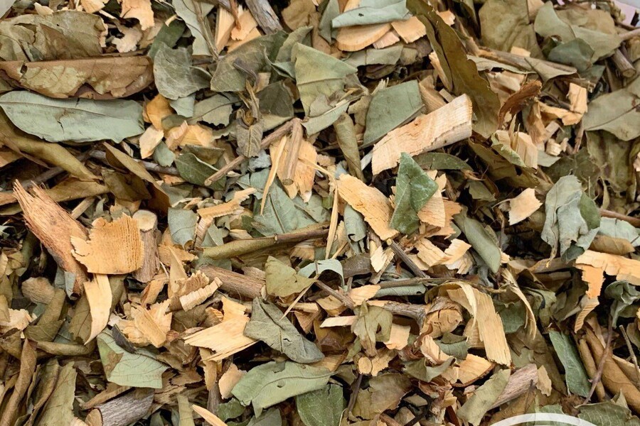 Thành ngạnh có tác dụng thanh nhiệt tốt