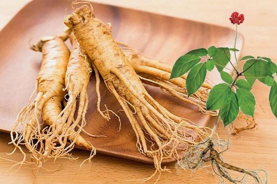 Tác dụng của nhân sâm đối với tinh trùng: Bí quyết giúp Anh Em có con sớm