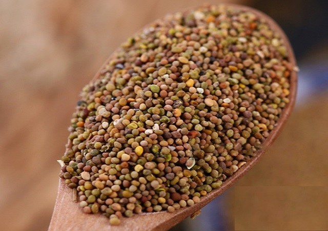 Thỏ ty tử hỗ trợ tốt cho sinh lý của nam giới