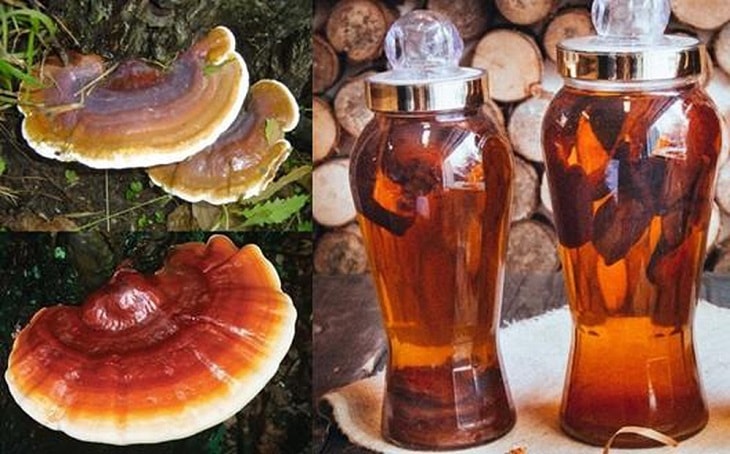 Mẹo dùng rượu chữa xuất tinh sớm: Bí quyết giữ phong độ của Lão Tuấn