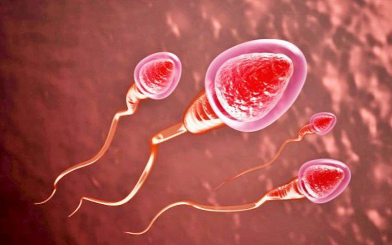 Ăn cay có ảnh hưởng đến tinh trùng? Lời cảnh báo từ Lão Tuấn