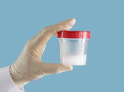 Tinh dịch là gì? Lời dặn của Lão Tuấn giúp anh em giữ túi tinh dồi dào