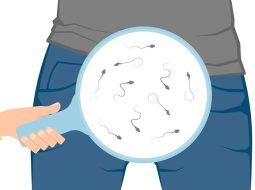 Tinh trùng là gì: Hiểu về hạt giống để giữ vững bản lĩnh nam nhi