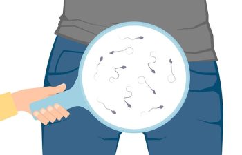 Tinh trùng là gì: Hiểu về hạt giống để giữ vững bản lĩnh nam nhi