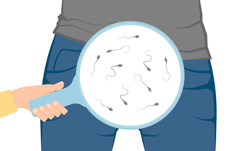 Tinh trùng là gì: Hiểu về hạt giống để giữ vững bản lĩnh nam nhi