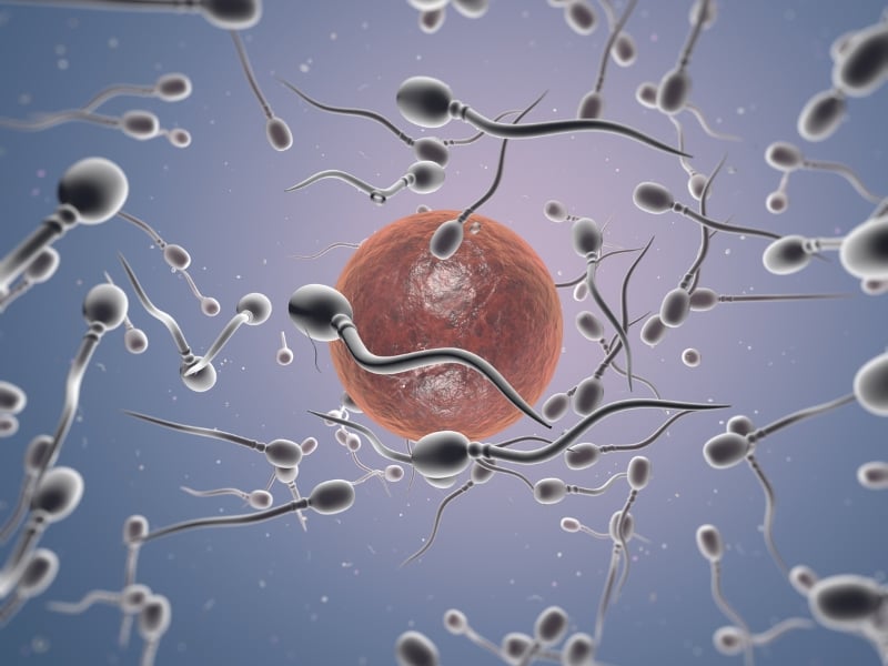 Tinh trùng có vô hạn không? Sự thật về bản lĩnh phái mạnh