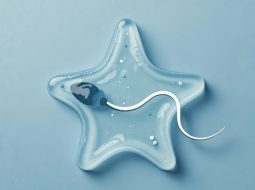 Tinh trùng dạng thạch có sao không? Lời khuyên từ Lão Tuấn giúp Anh Em giữ gốc thận tinh