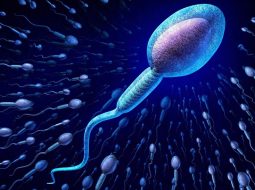 Tinh trùng không có mùi: Dấu hiệu Thận hư Anh Em chớ nên chủ quan