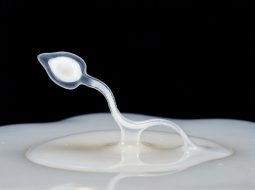 Tinh trùng màu trắng đục: Coi chừng Thận hư và lời dặn từ Lão Tuấn