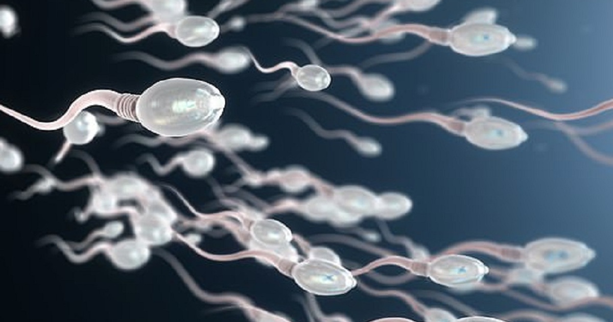 Cách Phục Hồi Tinh Trùng Nhanh: Bí Quyết Để "Giống Tốt Mầm Xanh"