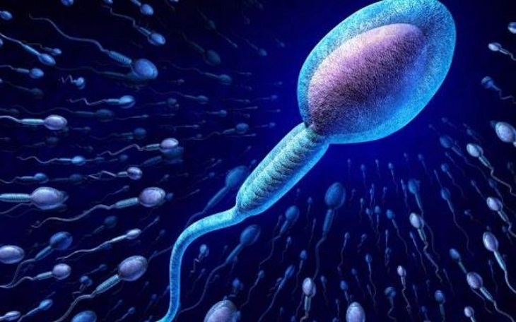 Tinh trùng X là gì? Bí quyết dưỡng tinh, giữ đạo từ Lão Tuấn
