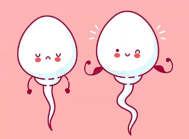 Nguyên nhân tinh trùng yếu và cách bồi bổ Thận tinh từ Lão Tuấn