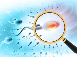 Tinh trùng yếu có chữa được không? Lời giải từ gốc cho Anh Em