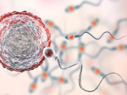 Tinh trùng yếu có con được không? Lời khuyên vàng từ Lão Tuấn