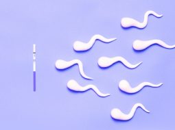 Tinh trùng yếu có thể thụ thai không? Lời khuyên vàng từ Lão Tuấn