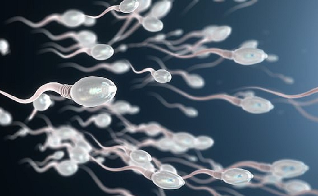 Tinh trùng có màu trắng trong: Coi chừng Thận yếu, tinh lực cạn!