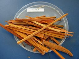 Tô mộc giúp giảm đau bụng kinh