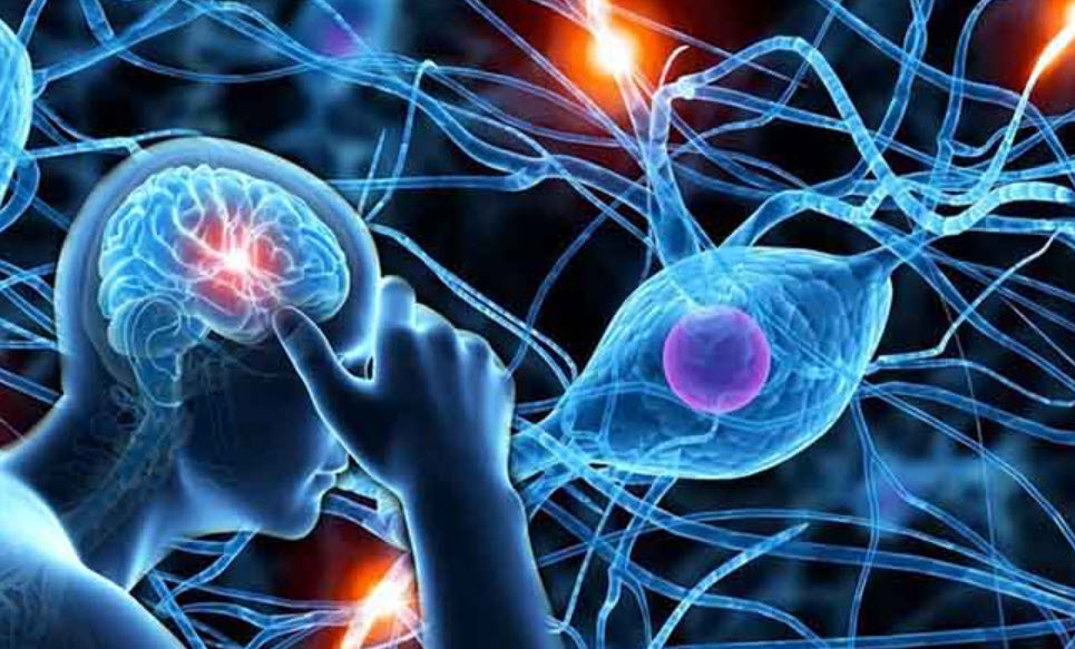 Rối loạn cương dương do thần kinh: Cách khắc phục từ gốc của Lão Tuấn