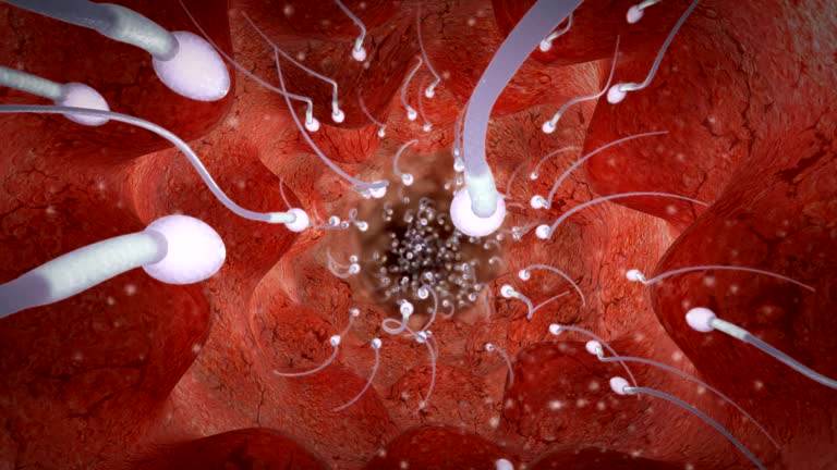 Tỷ lệ tinh trùng di động tiến tới bao nhiêu là dễ đậu thai?