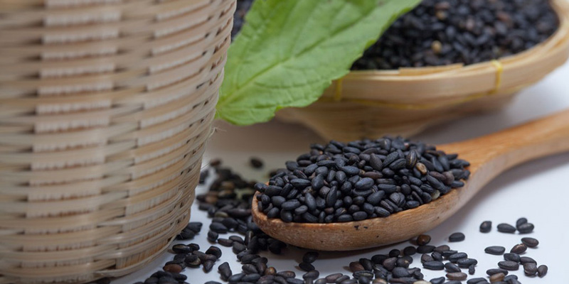 Cách khắc phục thận yếu tại nhà: Bí quyết dưỡng thận khỏe từ Lão Tuấn