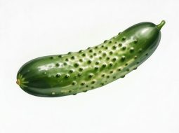 Xuất tinh khô là gì? Nỗi lòng khó nói và cách khơi thông sinh lực