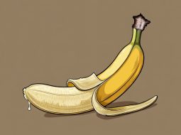 Xuất tinh ra ít tinh dịch: Cảnh báo từ Thận và cách bồi bổ tự nhiên