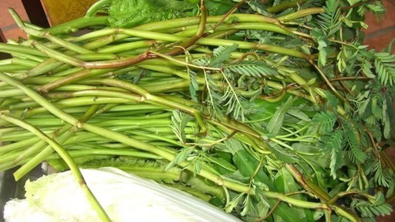 Bà bầu ăn rau nhút (rau rút) được không? Nên lưu ý gì khi ăn? - HelloBacsi