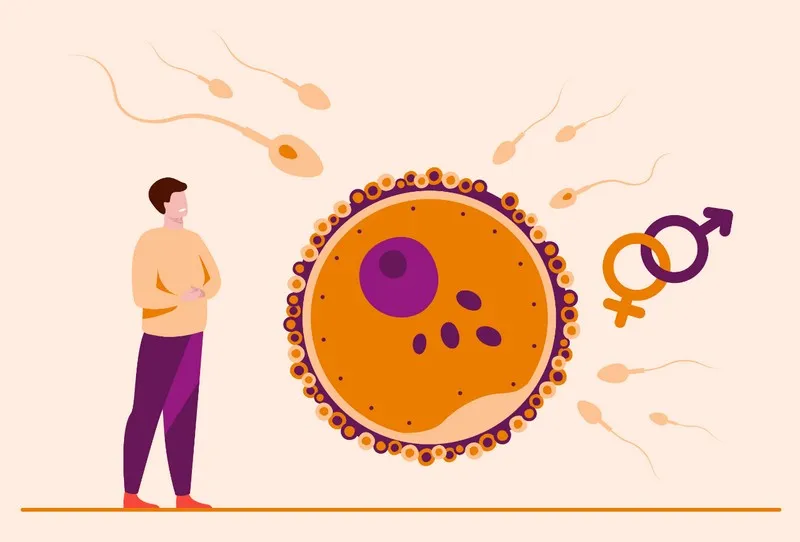 Tinh dịch bình thường vẫn hiếm muộn: Nỗi lòng biết ngỏ cùng ai?