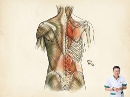 Đau lưng bên phải: Coi chừng thận yếu, thoát vị chớ chủ quan!