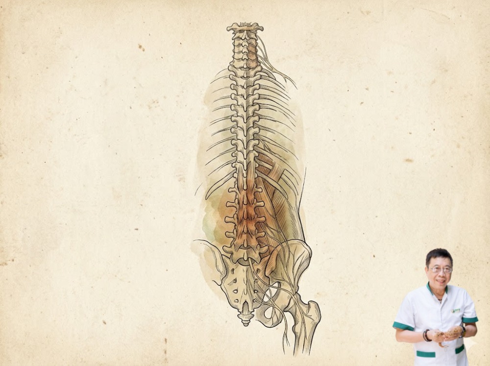 Đặc biệt, Lão thường nhận được câu hỏi về hiện tượng đau lưng về đêm hoặc đau lưng buổi sáng khi vừa