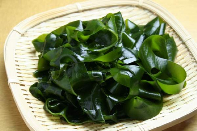 Côn bố chính là rong biển