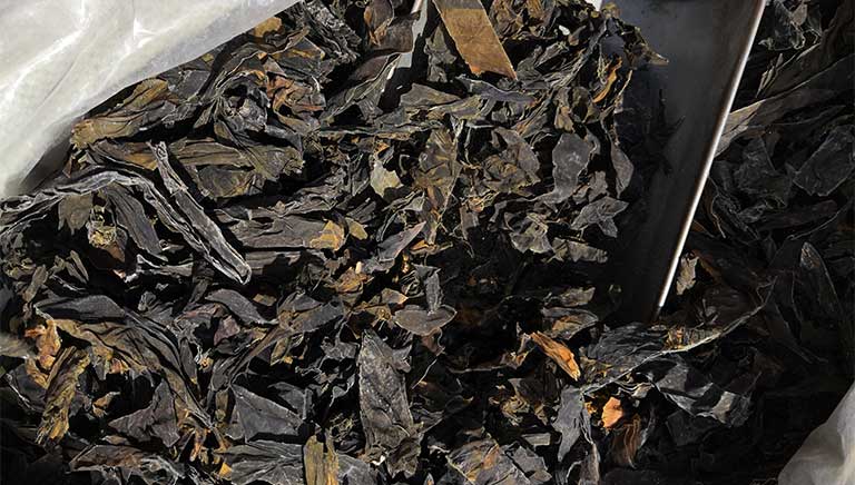 Đây là vị thuốc giúp giảm mỡ máu