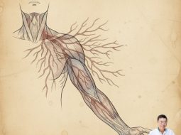 Đau vai gáy lan xuống cánh tay trái: Cảnh báo và cách xử lý từ Lão Tuấn