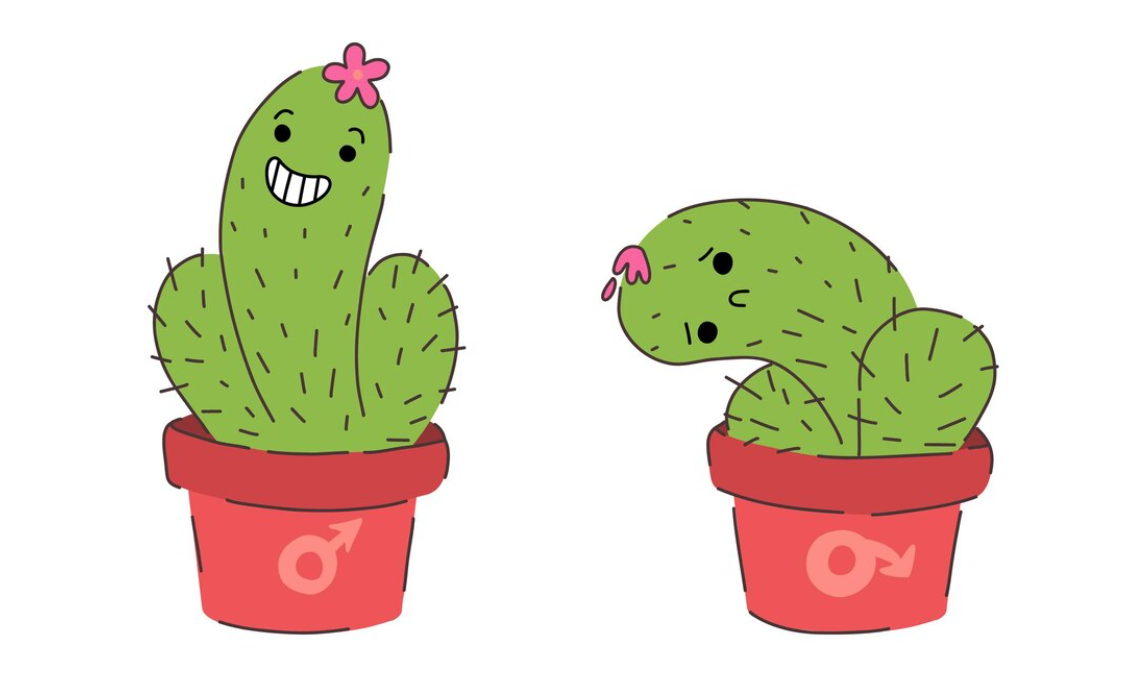 Rối loạn phản xạ xuất tinh: Cách lấy lại bản lĩnh bền bỉ cho Anh Em