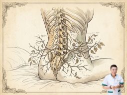 Sáng ngủ dậy bị đau lưng dưới: Lời dặn của Lão Tuấn để trị tận gốc