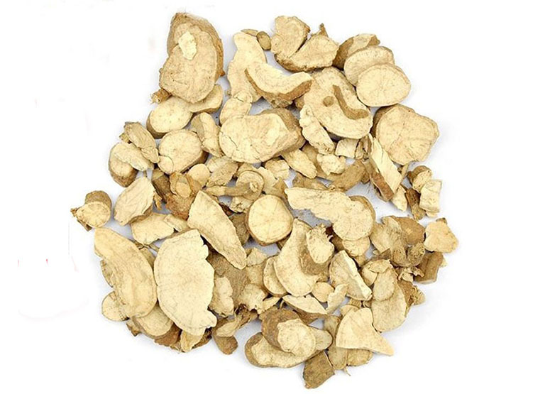 Quảng phòng kỷ thường dùng trong các bài thuốc xương khớp