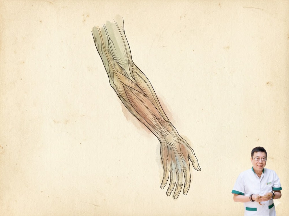 Huyết ứ, kinh lạc bị chèn ép: Những trường hợp yếu tay kèm tê tay thường do huyết dịch không lưu thô