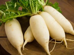 Đau dạ dày có ăn được củ cải không? Lão Tuấn mách cách ăn bổ tỳ vị