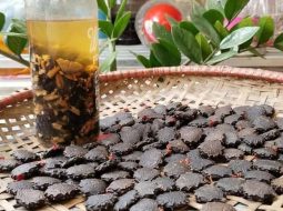 Rượu hạt gấc xoa bóp tác dụng hiệu quả chữa xương khớp