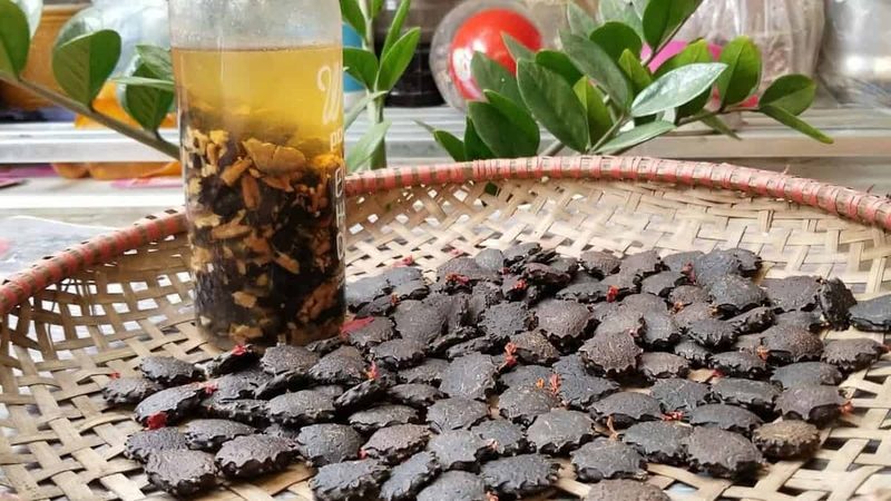 Rượu hạt gấc xoa bóp tác dụng hiệu quả chữa xương khớp