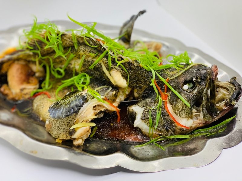 Trào ngược dạ dày có nên ăn cá? Lời dặn tâm huyết từ Lão Tuấn