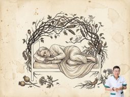 Hệ lụy khi người cao tuổi ngủ không đủ giấc và cách khắc phục